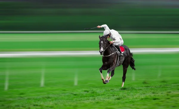 Cheval de course avec jockey à la maison droite — Photo