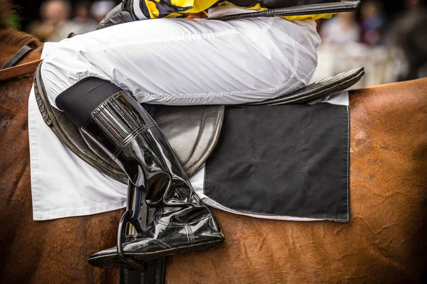 Race horse met jockey, close-up. — Stockfoto