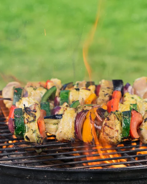 Barbecue grill avec brochettes savoureuses, gros plan. — Photo