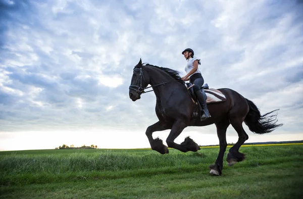 Schöne Frau reitet auf einem schwarzen Friesenpferd. — Stockfoto