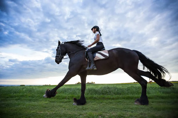 Beautiful woman riding a black friesian horse. — Stock Photo, Image