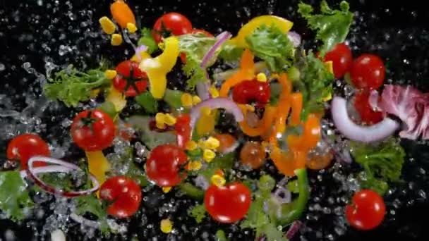 Färska grönsaker med vattendroppar exploderar på svart bakgrund. — Stockvideo