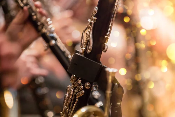 Sección de viento durante un concierto de música clásica — Foto de Stock