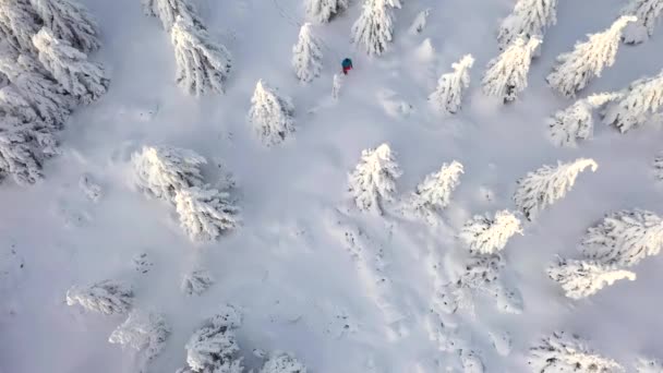 Vista aérea del hombre caminando con raquetas de nieve sobre nieve blanca en invierno . — Vídeos de Stock