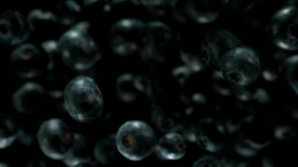 Eksplodujące jagody z wodą na czarnym tle. — Wideo stockowe