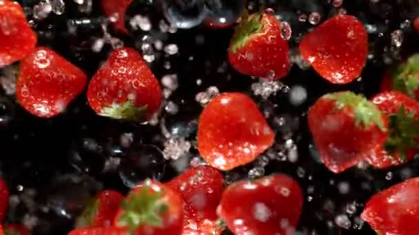 Explodierende Erdbeeren mit Wasser auf schwarzem Hintergrund. — Stockvideo