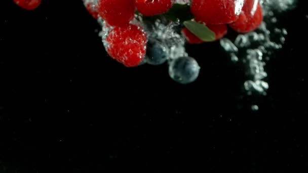 Fallen Beeren ins Wasser auf schwarzem Hintergrund. — Stockvideo