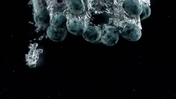 Falling blueberries into water on a black background. — Stock Video