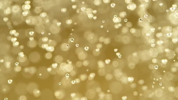 Champagne Bulles monter au ralenti super