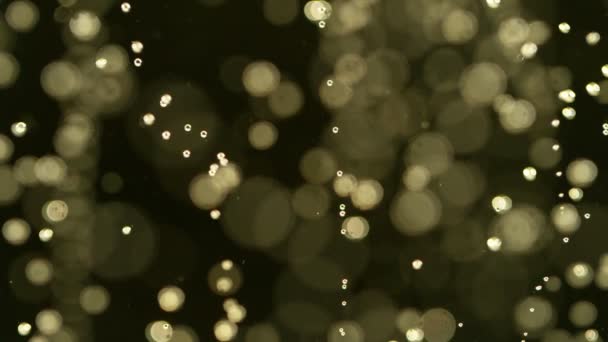 Champagne Bubbles going up in super slow motion — Stock video