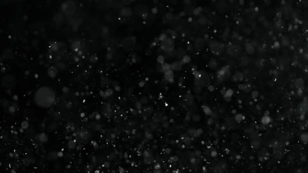 Natural organic dust particles on black background. Slow motion. — Stock Video