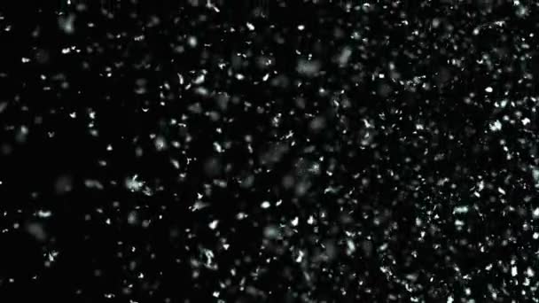 Inverno neve che cade su sfondo nero in 4K — Video Stock