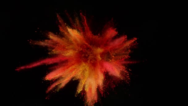 Colorful powder exploding on black background in super slow motion. — Stock Video