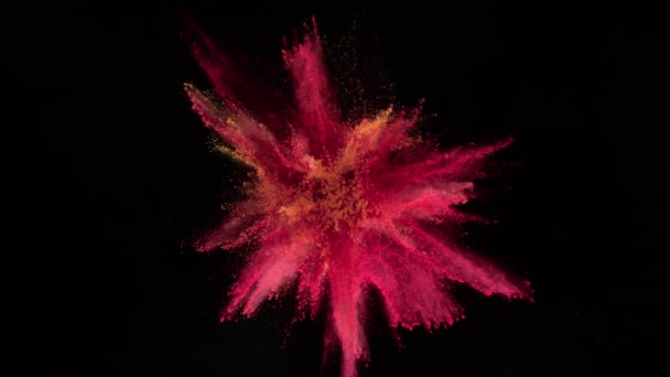 Colorful powder exploding on black background in super slow motion. — Stock Video