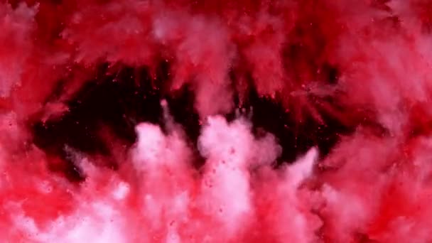 Polvere colorata che esplode su sfondo nero in super slow motion. — Video Stock