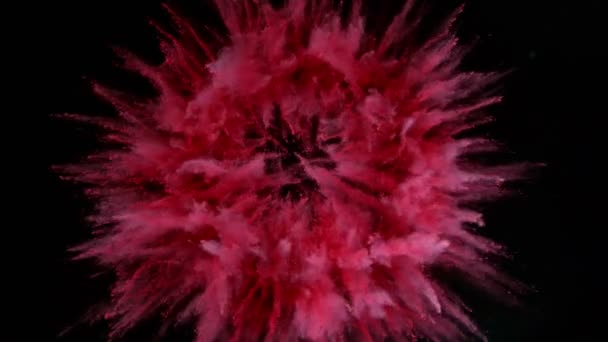 超スローモーションで黒の背景に爆発するカラフルな粉. — ストック動画