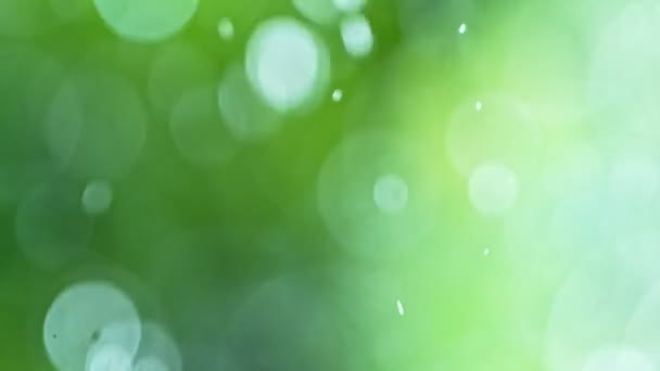 Fond vert abstrait, relaxation avec concept de gouttes d'eau, ralenti 