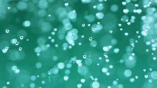 Bulles qui montent au ralenti