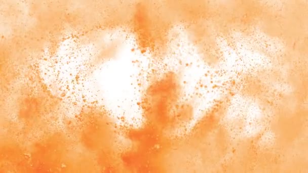 Kleurrijk poeder frame exploderen op witte achtergrond in super slow motion. — Stockvideo