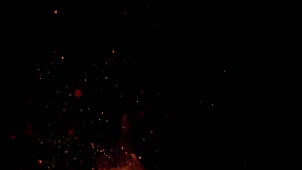 반짝이는 불꽃 , 1000fps 에서 고속 카메라 촬영, — 비디오