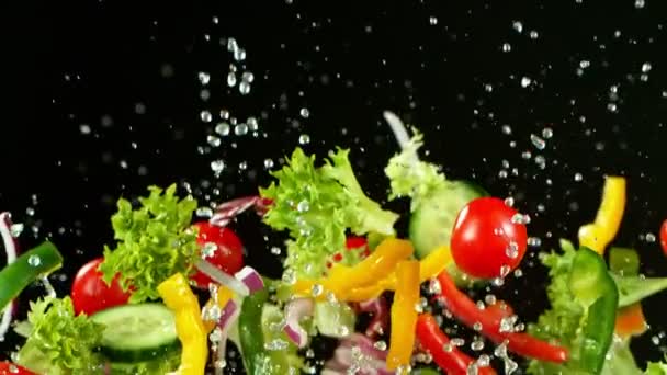 1000fpsで新鮮な野菜を飛んでの超スローモーションショット. — ストック動画