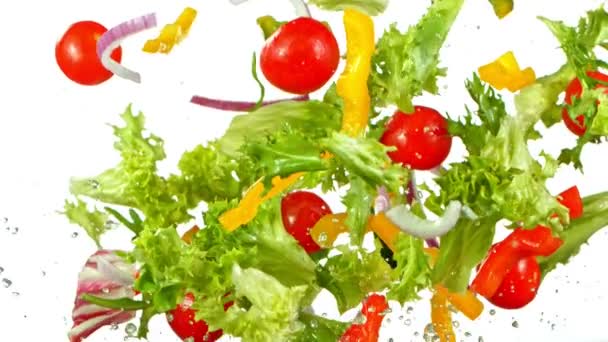 Super Slow Motion Shot of Flying Fresh Vegetables at 1000 fps. — стоковое видео