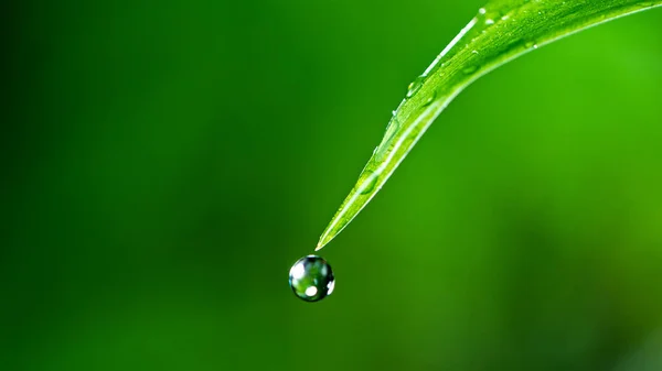 Макроснимок капли воды над зеленым травяным листом — стоковое фото