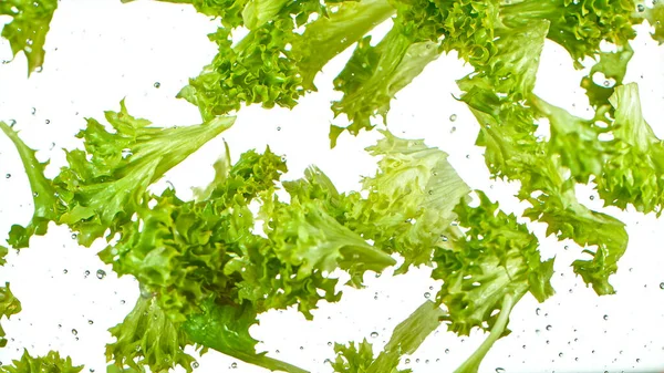 Ensalada de lechuga voladora aislada sobre fondo blanco . — Foto de Stock