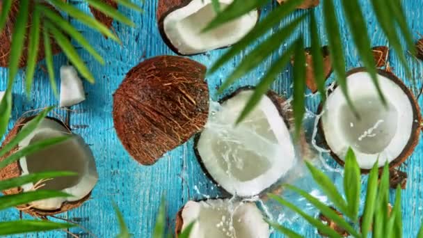 Movimento lento de respingos de água no coco — Vídeo de Stock