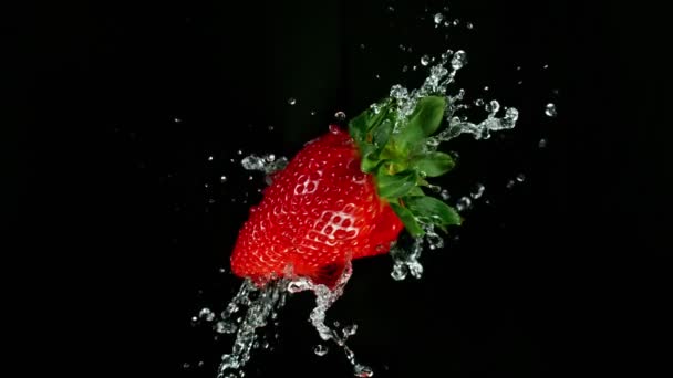 Super lent plan de mouvement de fraise avec éclaboussure d'eau isolé sur fond noir — Video