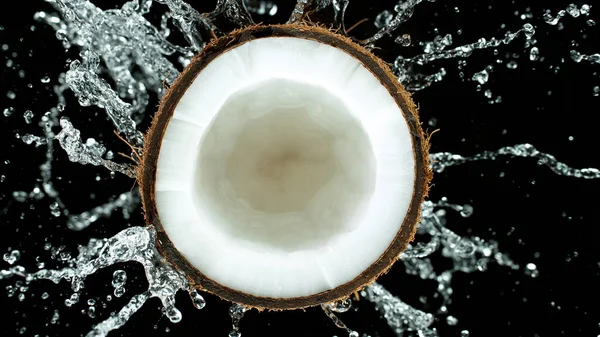 Congeler le mouvement des éclaboussures d'eau sur la noix de coco — Photo