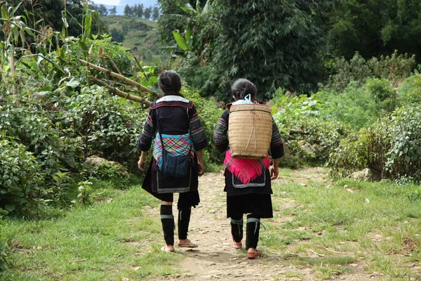 Женщины хмонгского меньшинства ходят по лесу — стоковое фото