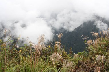 Bulutlar, ölüm road, Yungas, Bolivya dağlarında