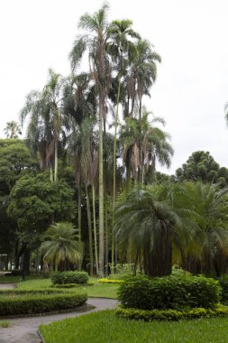 São Paulo 'da tropikal Park