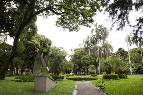 Belo jardim tropical com banco e escultura — Fotografia de Stock