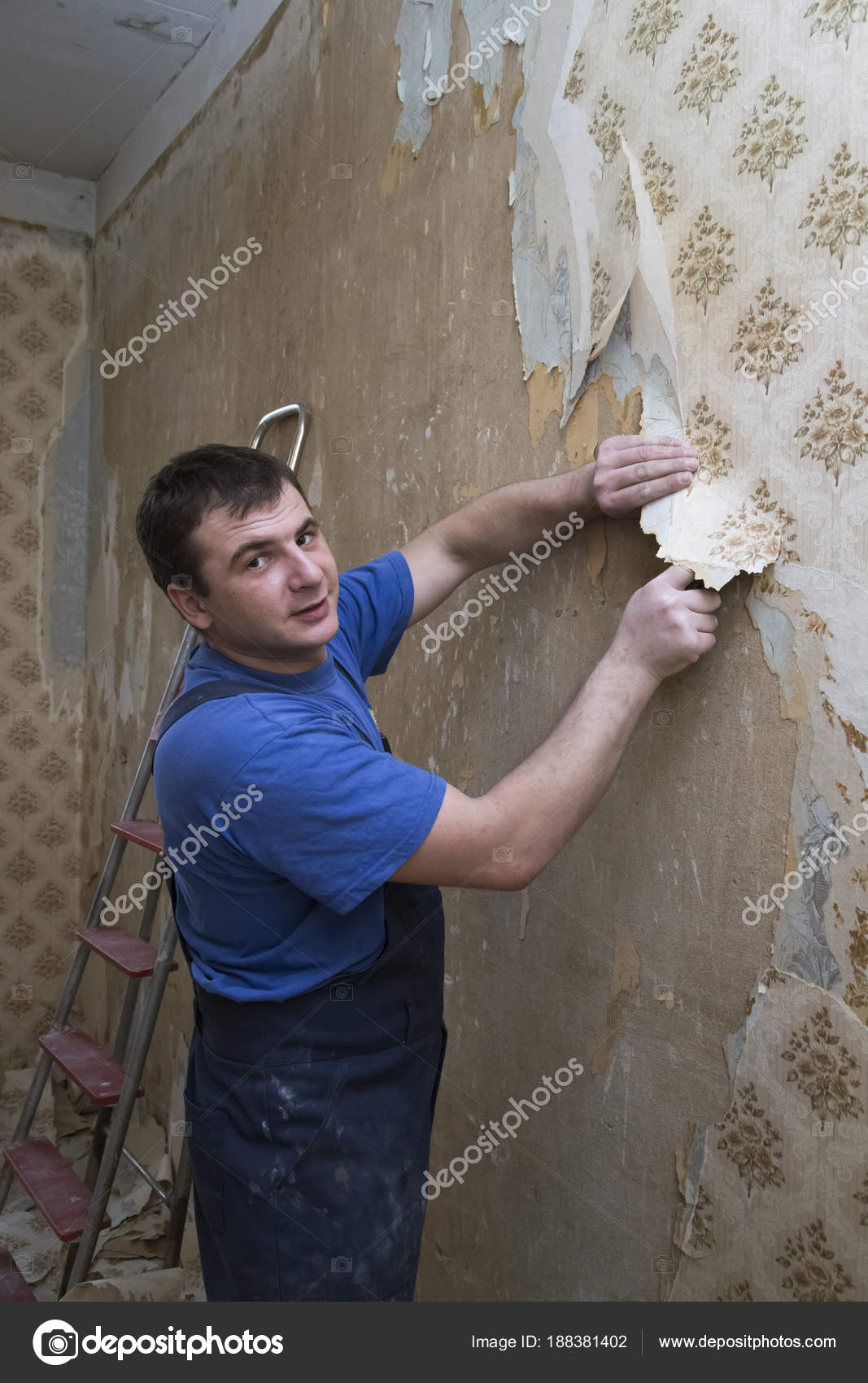 How To Remove Old Wallpaper From Plaster Bios Pics
