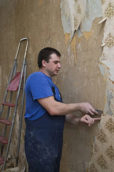 House Reconstruction Man Worker Removes Old Wallpaper Concrete Wall Stock Image