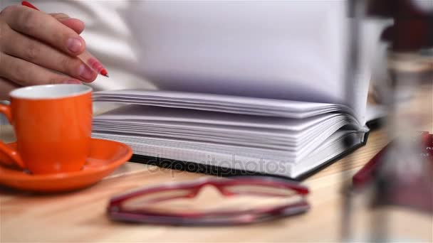 Businessman Looking For Financial Records In Diary. Close Up — Stock Video