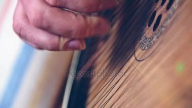 El ile yapay tırnak Bandura, geleneksel Ukrayna müzik aleti çalmaya