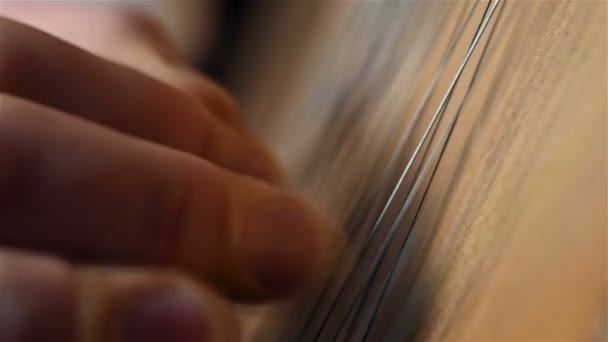 Vinger spelen op Bandura, Oekraïens muziekinstrument. Close-up — Stockvideo