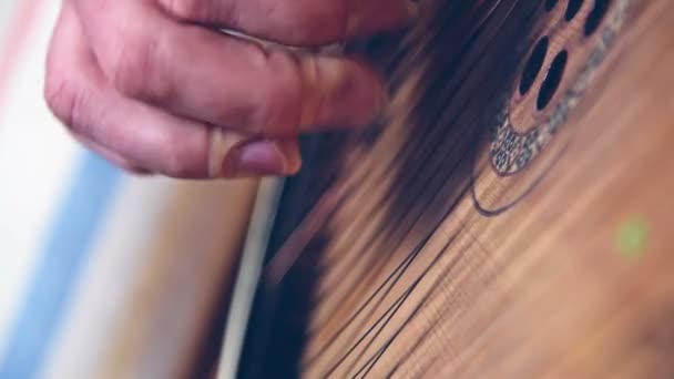 Hand met kunstmatige nagel spelen op Bandura, traditionele Oekraïense muziekinstrument — Stockvideo