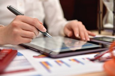 muhasebeci kadın gelir veri çözümleme