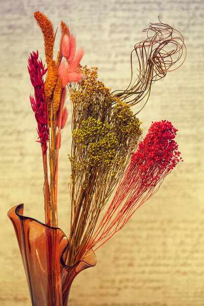 design decorative bouquet of dried flowers and herbs