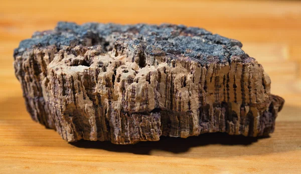 Een stuk van cork. Cork boom closeup — Stockfoto