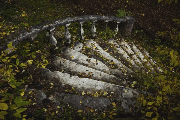 빈티지 원형 계단을 난 간으로. 고딕입니다. 빈티지 스타일입니다. 숲에서 영지의 세부 사항 — 스톡 사진