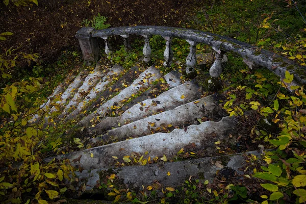 Oude stenen trap met een leuning op het landgoed — Stockfoto