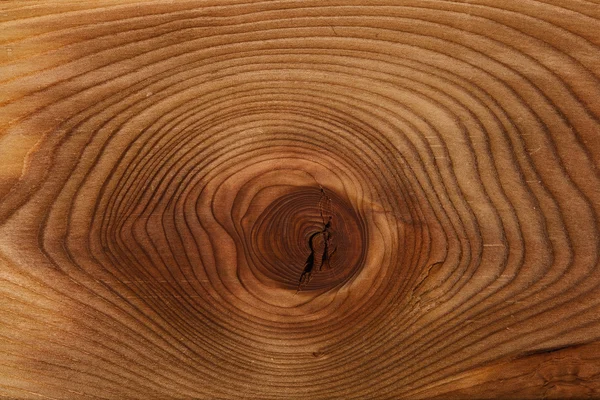 Wood texture. Beautiful ring time sawing wood — Stock fotografie