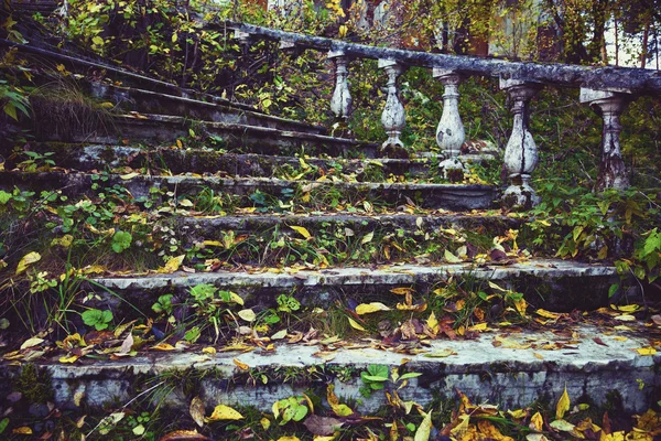 Vintage régi lépcsőház szétszórva a lehullott levelek — Stock Fotó