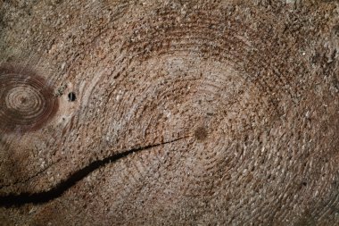 Doğal ahşap arka plan doku. taze Boyutlanmış kereste