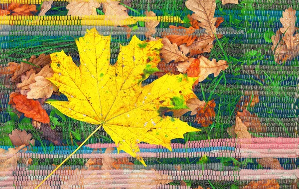 Gele maple leaf op de abstracte achtergrond, dubbele blootstelling — Stockfoto